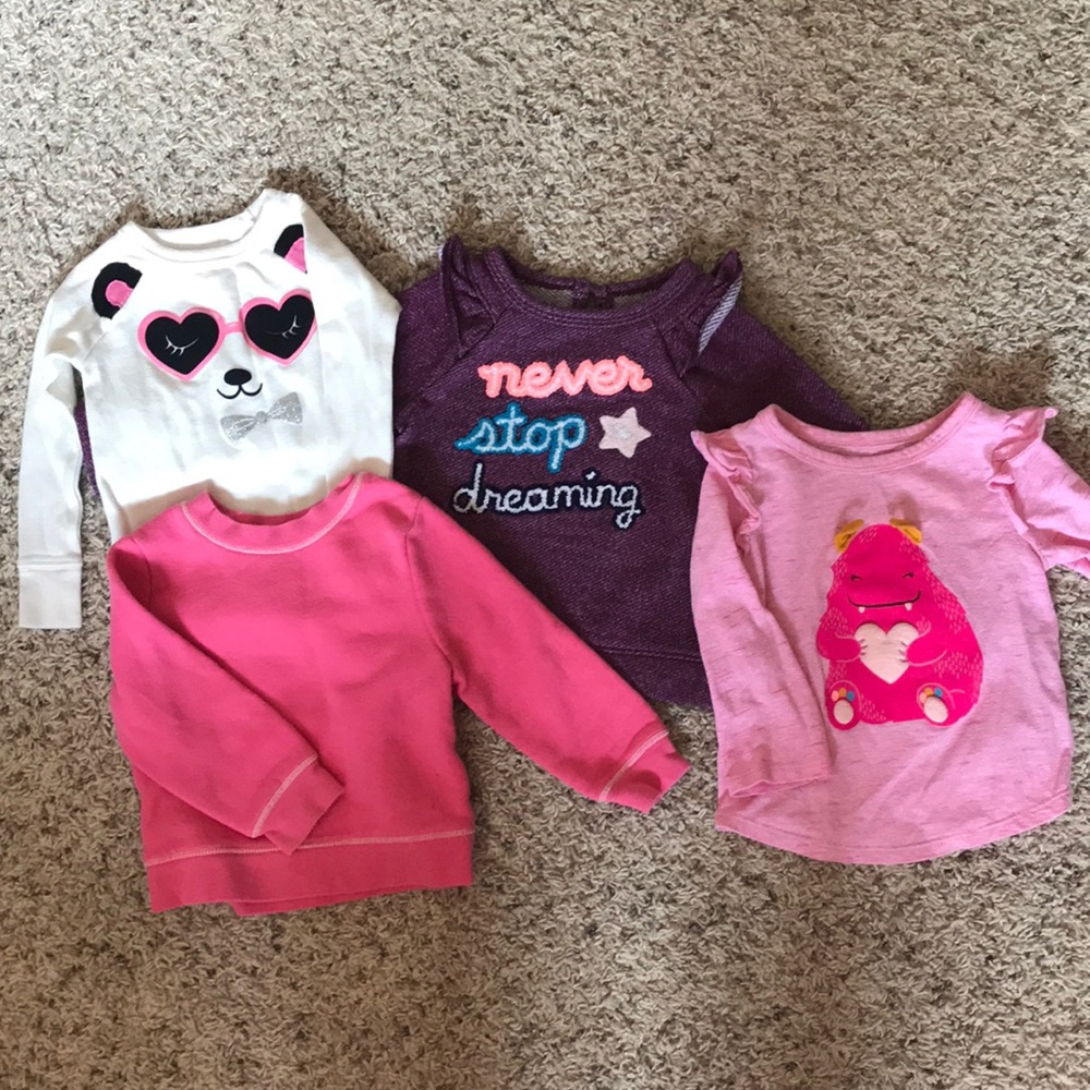 Lot of 4 Long sleeve toddler girl shirts